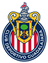 homeLogo