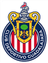 homeLogo