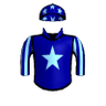 Swiss Army Officer