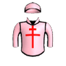 Invincible Will