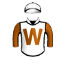 Executive Sash