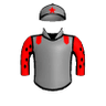 Regal Knight
