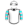 Illustrator