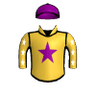 Sisu Warrior