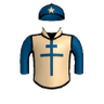 Justiciar