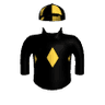 Sloane Raider