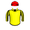 Magnetude
