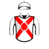 Defiant Spirit