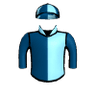 Theflyingbee