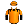 Arctic Flame