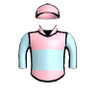Parole Officer