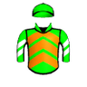 Rogue Runner