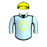 Ribaltagaia