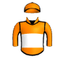 Noble Tiger