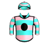 Silver Assassin