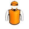 Halloween Holly