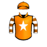Celtic Charioteer