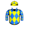 The Bay Warrior