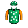 Celtic Druid