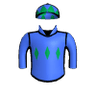 The Shandyman