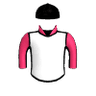 Luminized