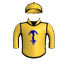 Danish Hussar