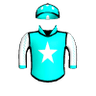 Malibu Blitz