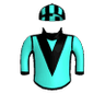 Main Defender