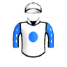 Risk Manager