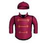 Senior Officer
