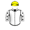 Halcon