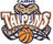 Cairns Taipans