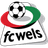 FC Wels