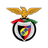 Penya Encarnada dAndorra