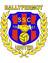 Ballyfermot United FC