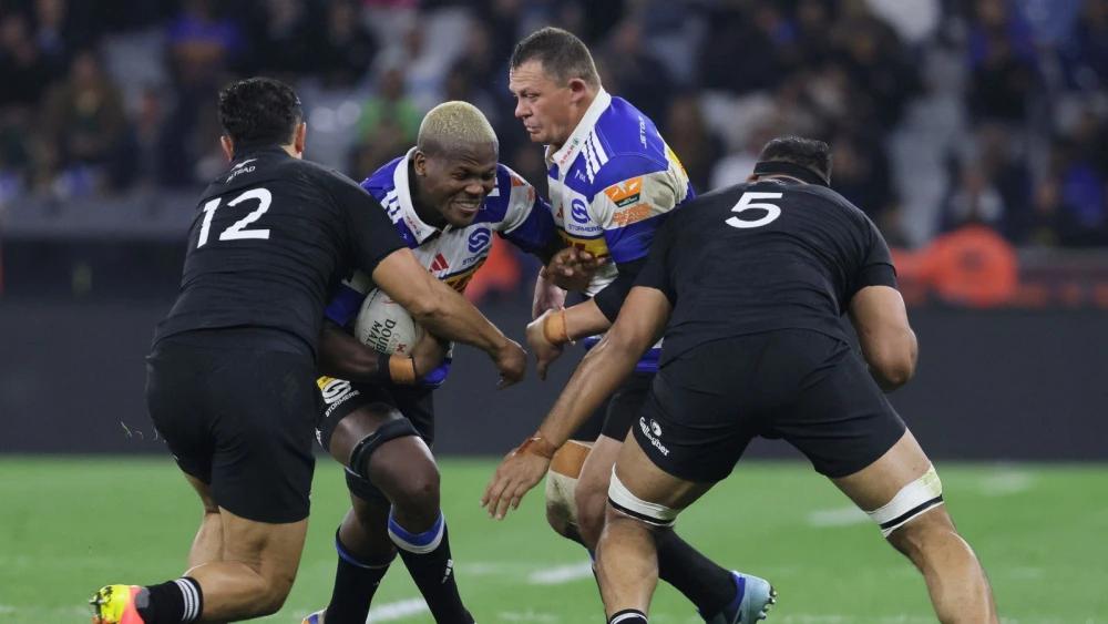 Dobson hails 'remarkable effort' as Stormers push All Blacks to the limit in Cape Town