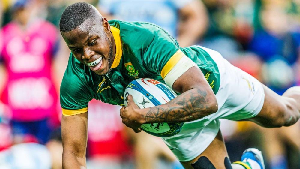 'I'm excited for a new chapter,' says Bok bolter Aphelele Fassi in Japanese club reveal