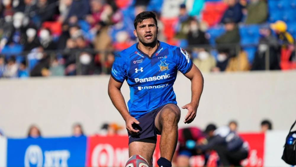 South Africans overseas: De Allende stars as Boks impress in Japan and Europe