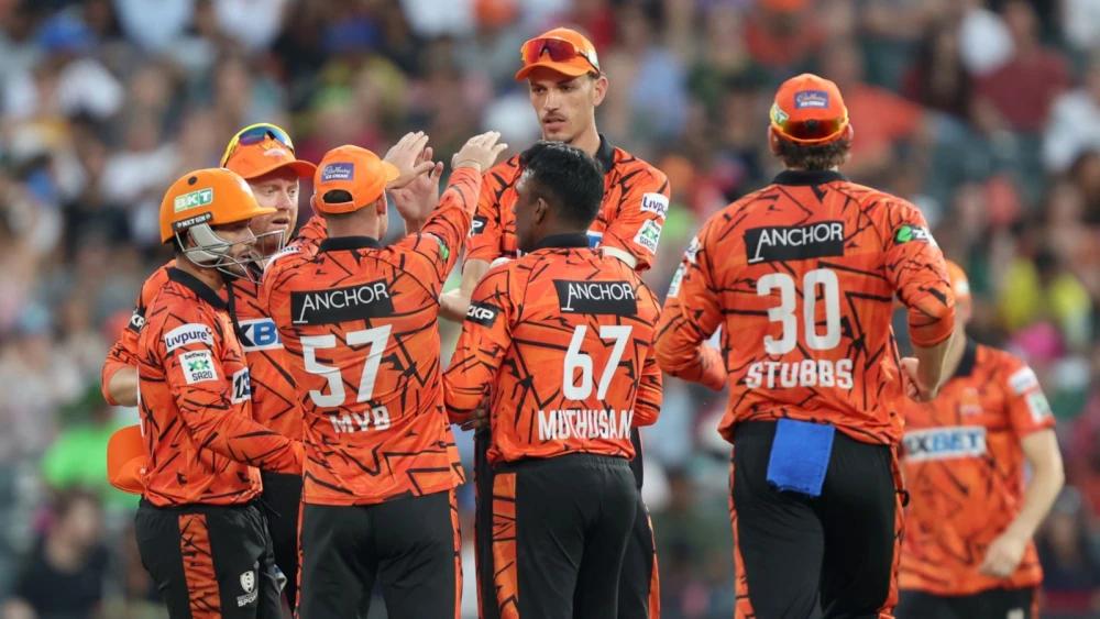 Sunrisers Eastern Cape reach yet another SA20 final after seeing off Paarl Royals