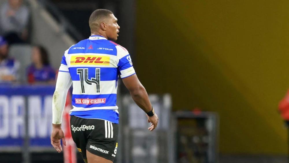 Backline Swiss Army knife: Damian Willemse understands the need for versatility
