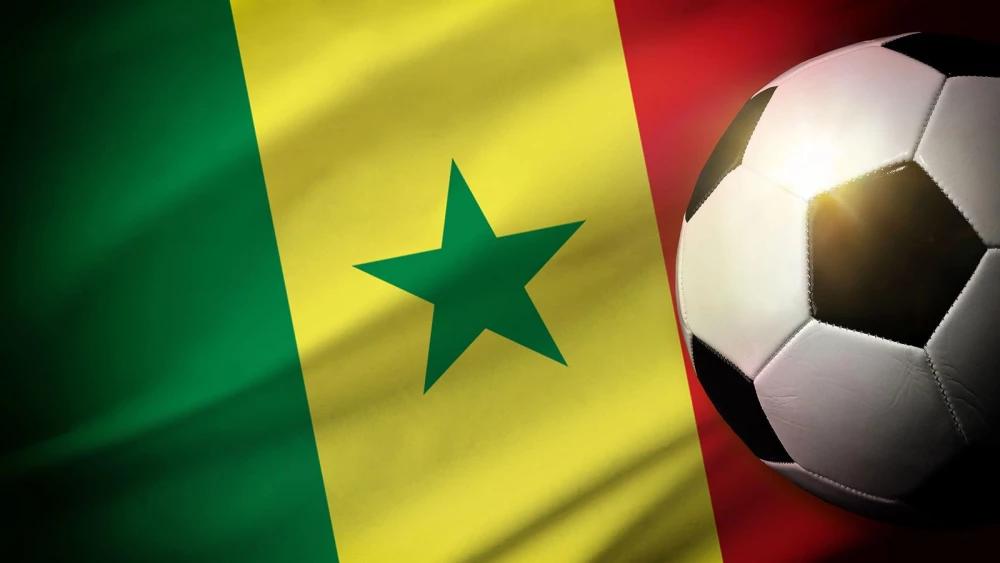 Senegal in shock after young goalkeeper Cheikh Toure killed in football scam