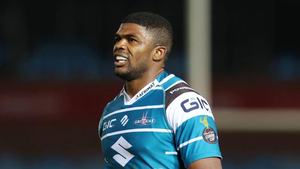 Stormers bring in Dylan Maart on loan as cover for injured Senatla