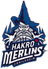 Crailsheim Merlins