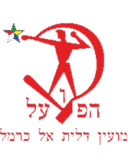 Hapoel Daliyat Al Karmel
