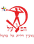 Hapoel Daliyat Al Karmel