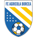 Agricola Borcea