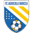 Agricola Borcea