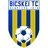 Bicskei TC