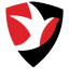 Cheltenham Town (w)