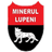 Minerul Lupeni
